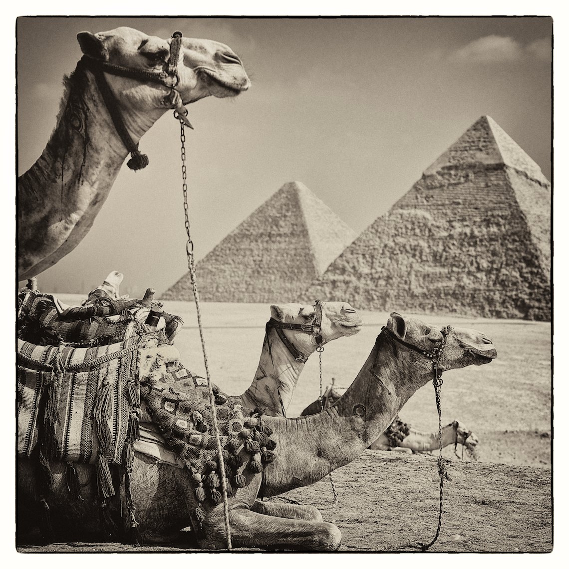 Barth_Egypt_pyramids 005.jpg