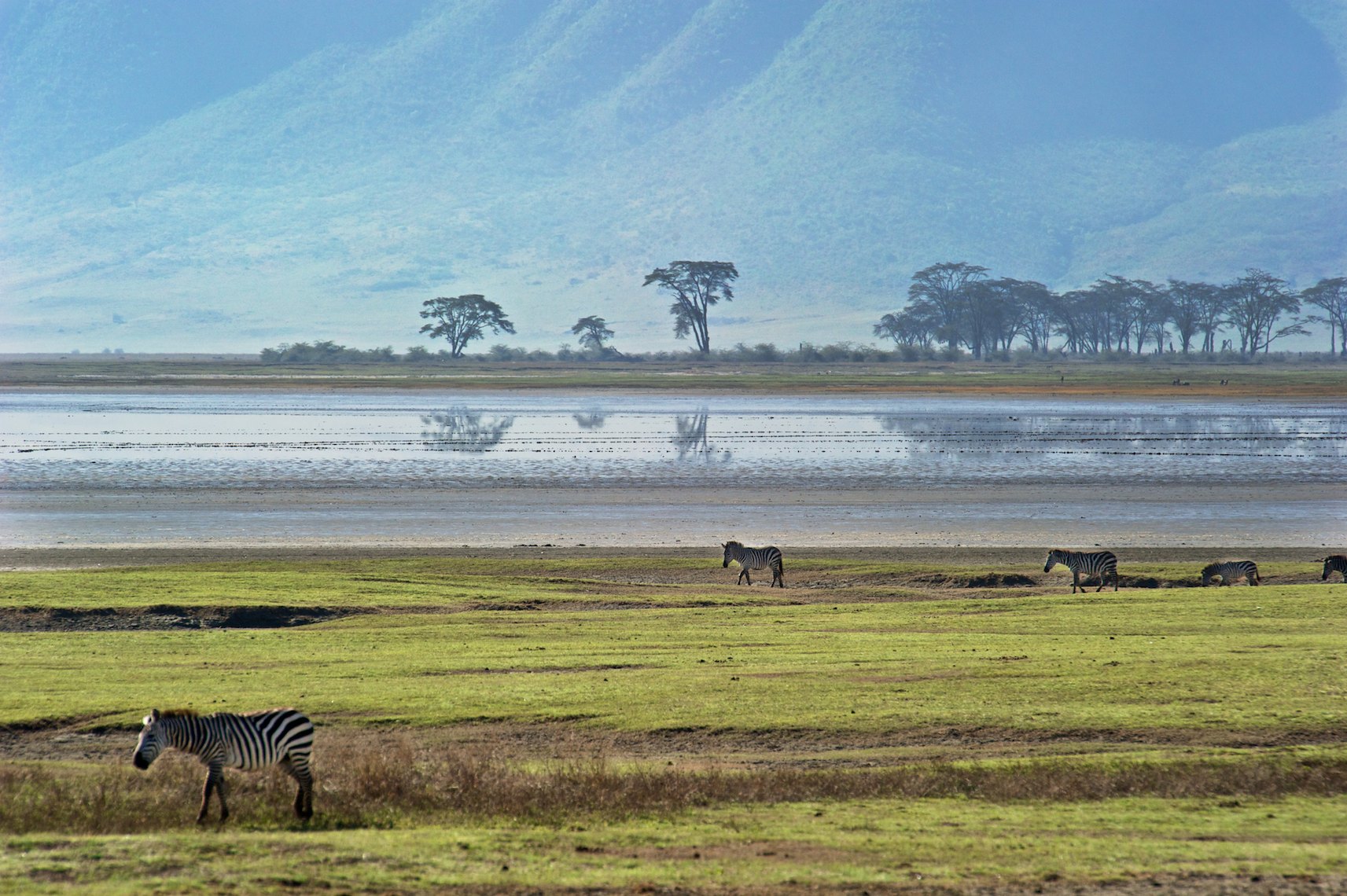 Tanzania Ngorongoro landscape morning