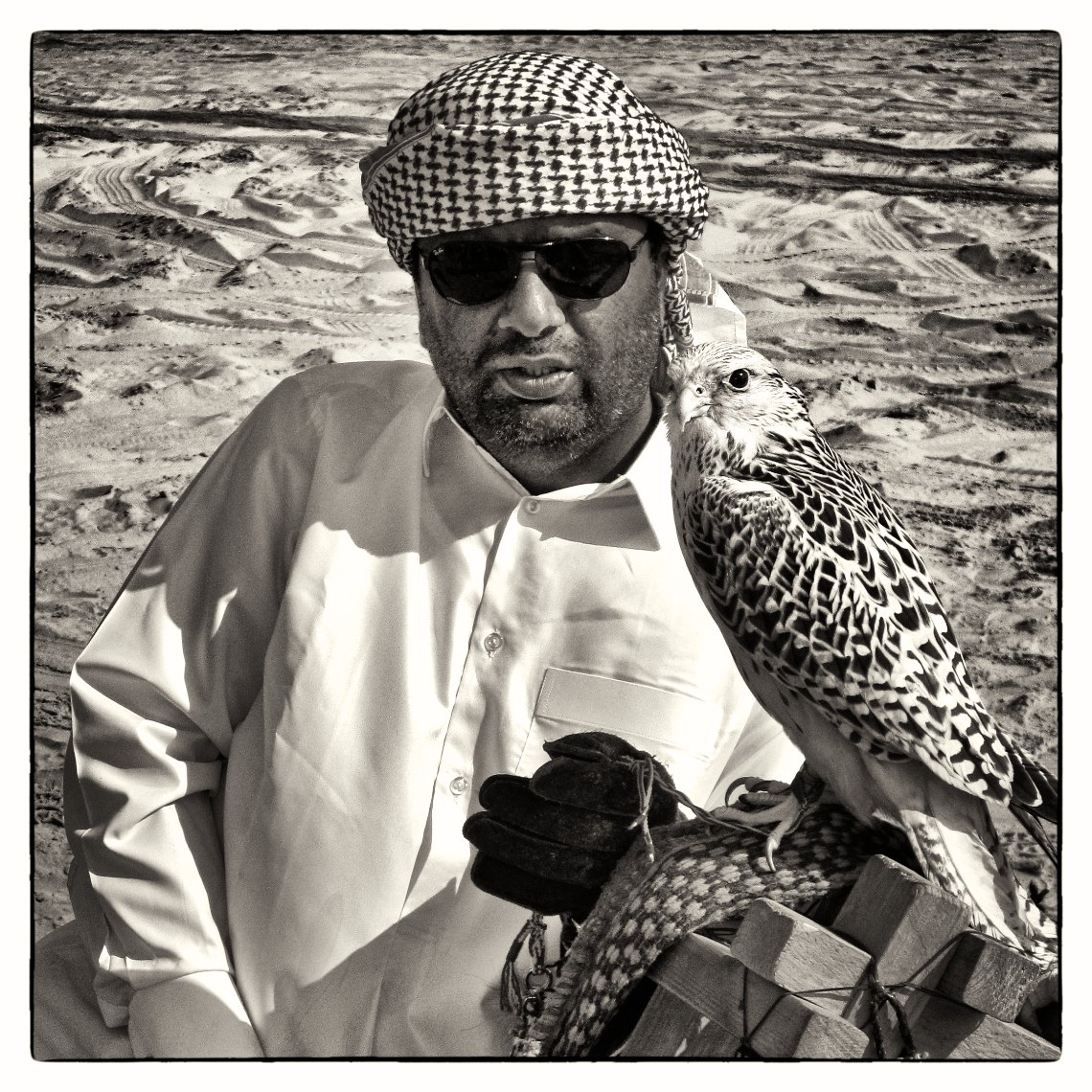 Qatar Inland Sea, man with falcon