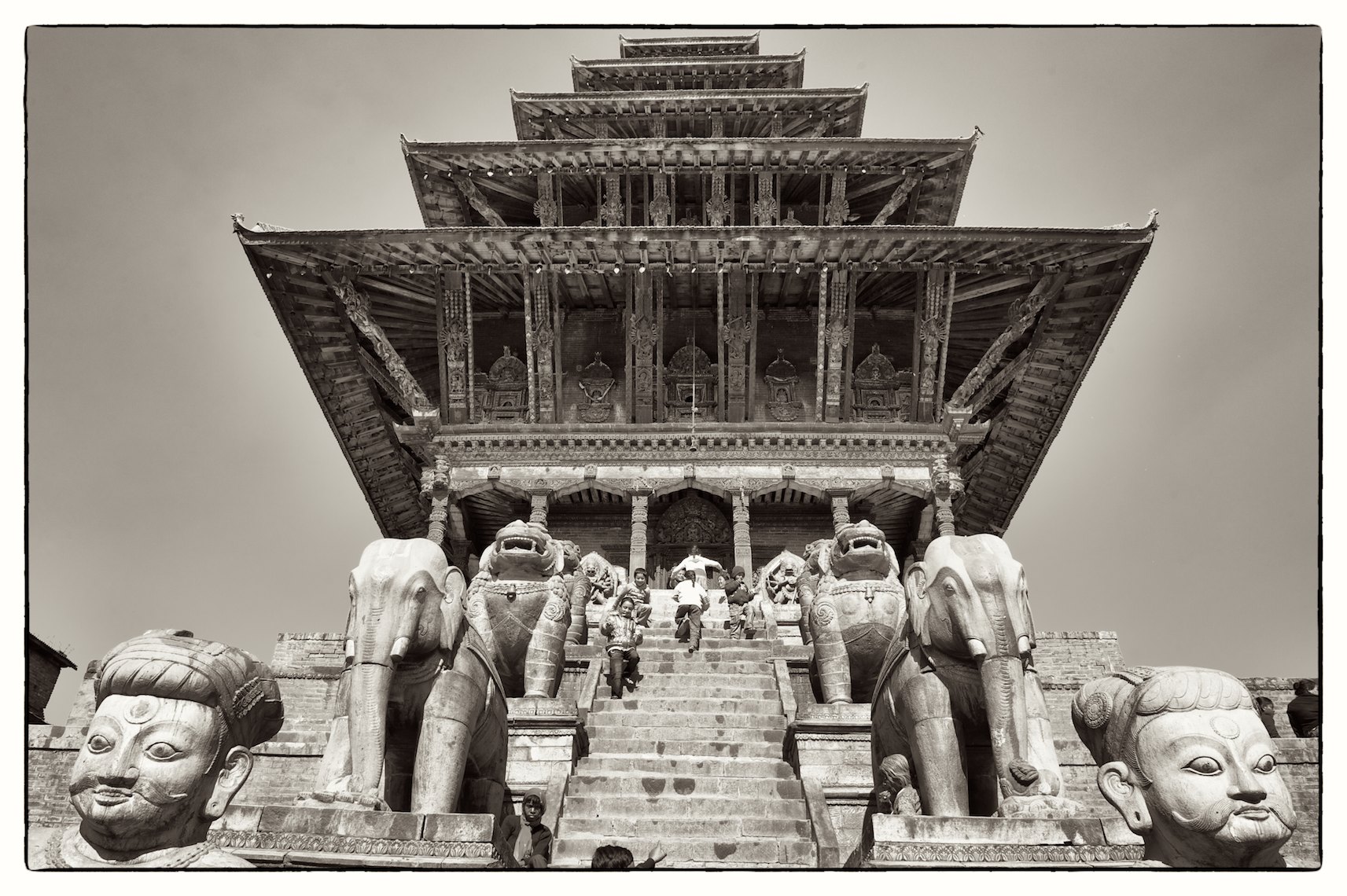 _D3S1590 - Version 2.jpg