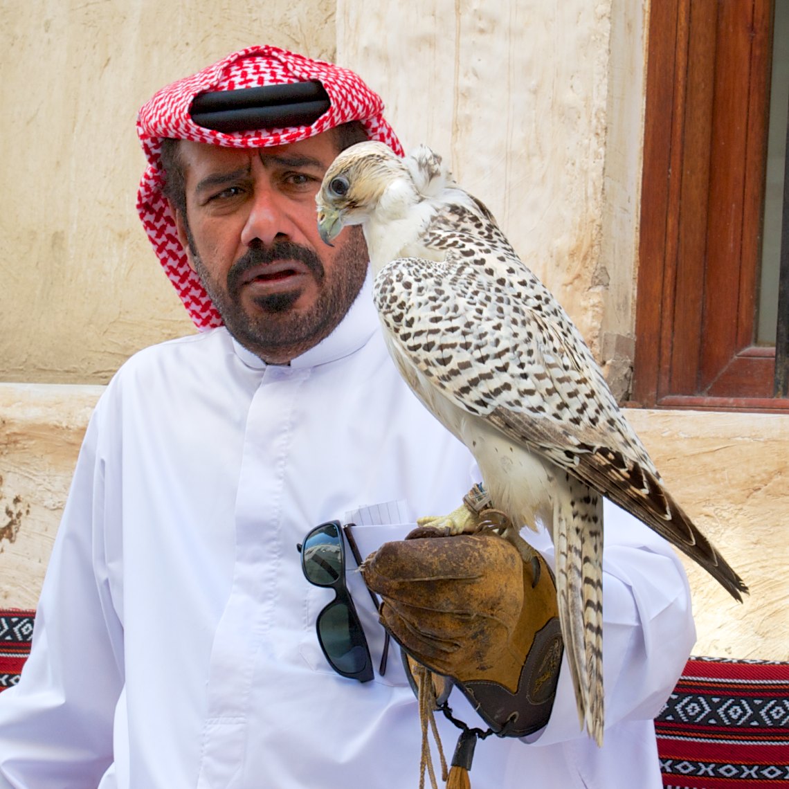 Man with falcon